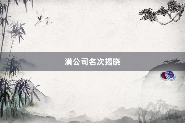 潢公司名次揭晓